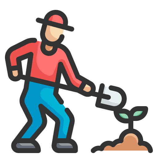 Matcha grado ceremonial premium